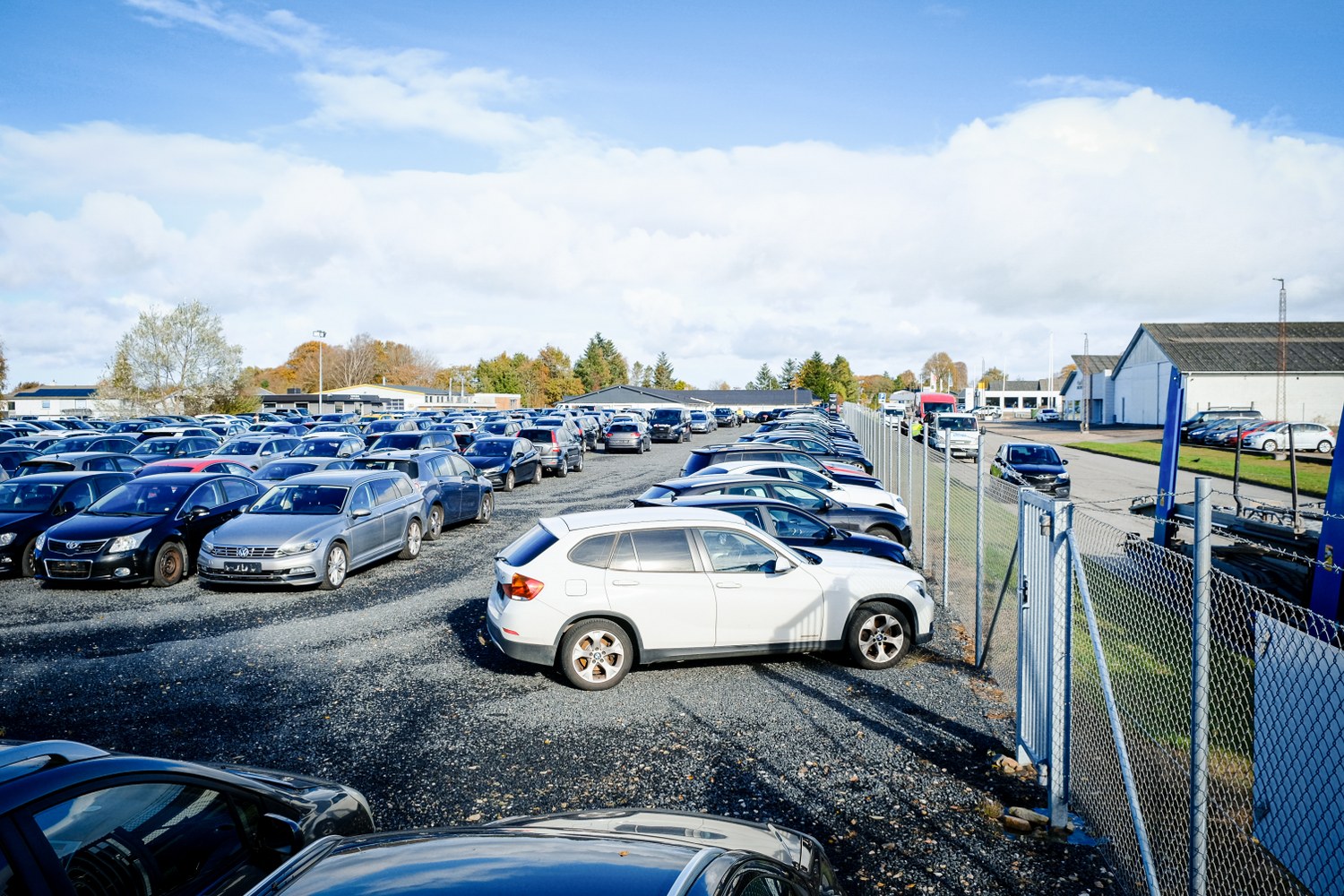 Lowesbiler 06 1500X1000