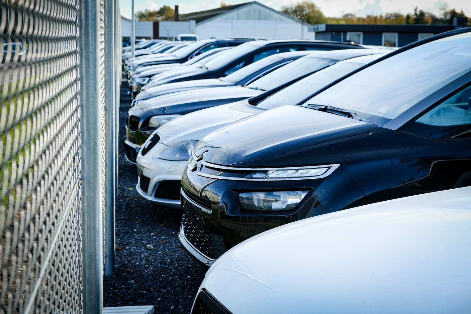 Lowesbiler 21 1500X1000