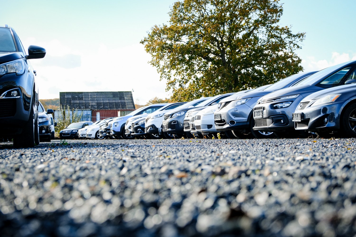 Lowesbiler 19 1500X1000