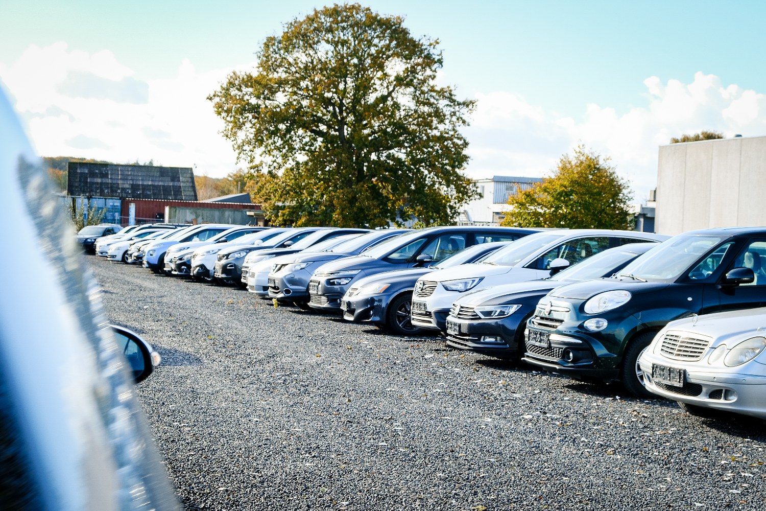 Lowesbiler 25 1500X1000